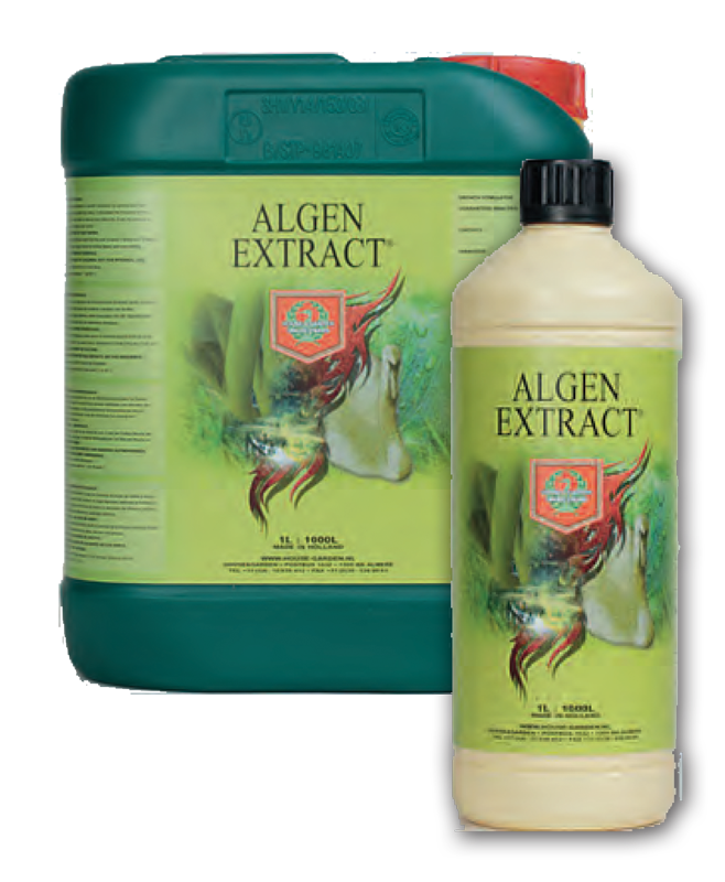 Algen Extract 250ml