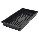 Super Sprouter Quad Thick 10 x 20 Tray - No Hole