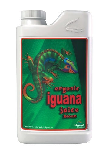 Iguana Juice Bloom 4L