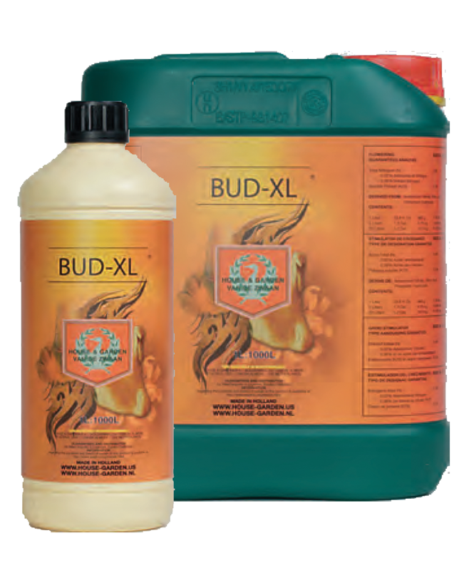 Bud XL 1 Liter