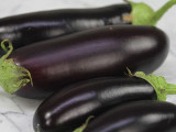 Astrakom Eggplant
