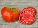Classic Beefsteak Tomato
