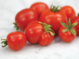 MiniBel Tomato