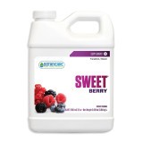 Sweet Berry (1 qt)