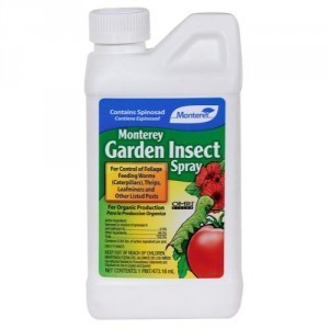 Monterey Garden Insect Spray Pint