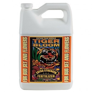Tiger Bloom Gallon